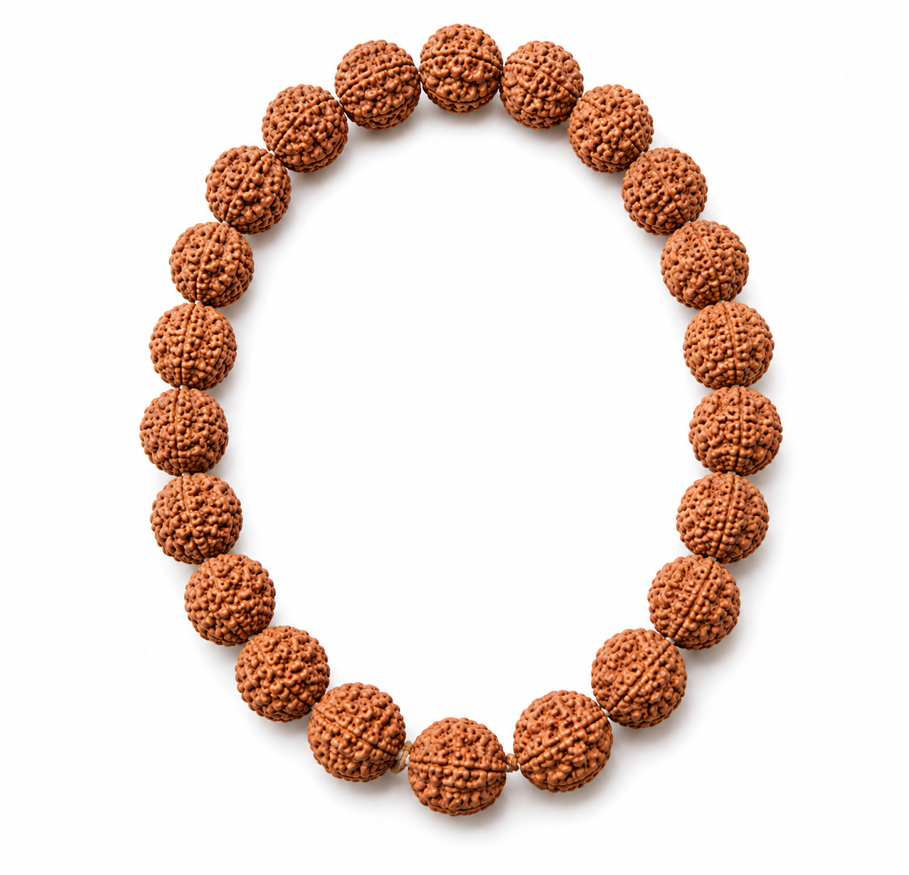 Rudraksha